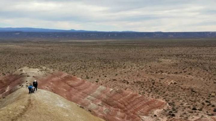 Predominio energético: el litio y el shale de Vaca Muerta reconfiguran el mapa minero del país