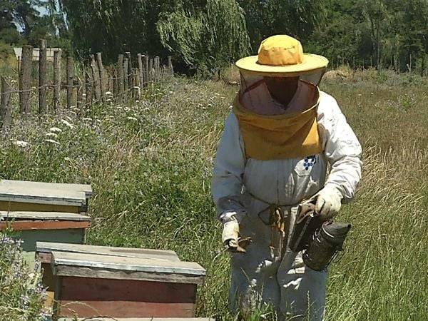Panoramas para toda la familia