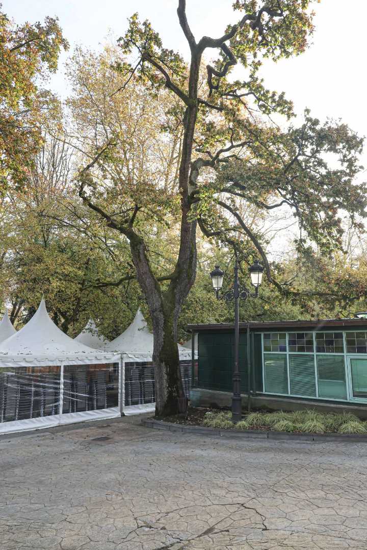 La oposición reclama una regulación para que el Campo San Francisco «deje de ser un ferial»