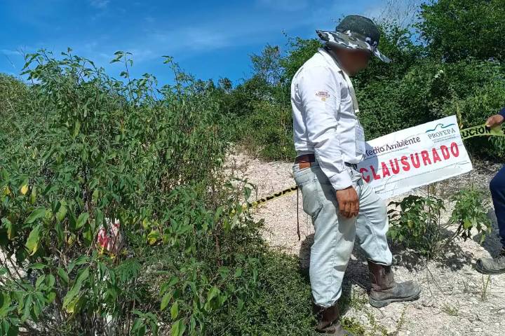 Profepa clausura mina de Holcim por invadir 117 metros cuadrados de la Reserva de la Biosfera de Calakmul