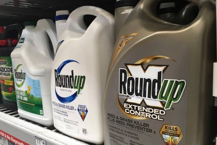 Glyphosate at the Supreme Court: Trump backs Monsanto over Roundup lawsuits