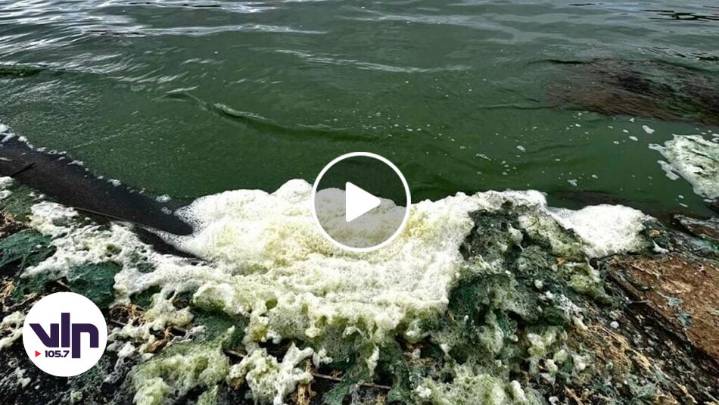 Muestras de agua del Lago Vichuquén son enviadas a Puerto Montt para determinar contaminación