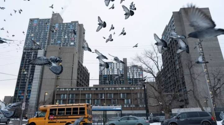 La ansiedad se apodera de la comunidad somalí de Minneapolis mientras los agentes de ICE se centran en las Ciudades Gemelas