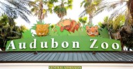 Audubon Zoo defends plan to raise family membership cost. How does it compare to other zoos?