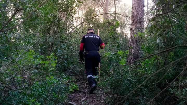 La UE declara 91 municipios de Barcelona como zona afectada por la peste porcina