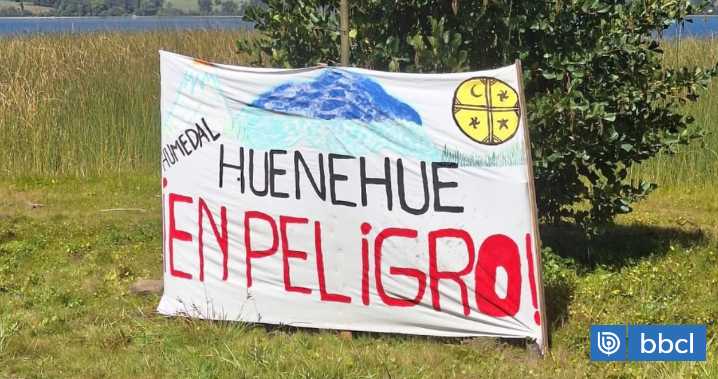 Mapuche en contra de proyecto inmobiliario en Panguipulli: podría dañar humedal y cementerio ancestral