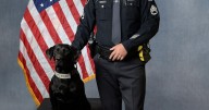 K-9s trained to sniff out fentanyl for Idaho State Police