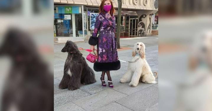 ¿Sabe usted que en la ciudad se vuelven a escuchar ladridos afganos?