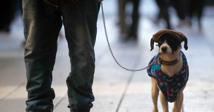 Lluvia en las elecciones 2025: en qué sectores de Chile habrá precipitaciones el fin de semana
