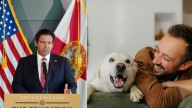 La ley firmada por Ron DeSantis que impacta en las mascotas del hogar y entra en vigor en enero de 2026 en Florida, Estados Unidos