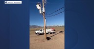 Lineman works to rescue bear who climbed a utility pole