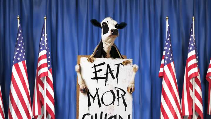 Chick-Fil-A Cow Announces 2020 Run On Popular Platform Of Eating More Chicken