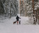 ¿Te atreves a caminar por el hielo? Las rutas más mágicas de Cantabria en diciembre