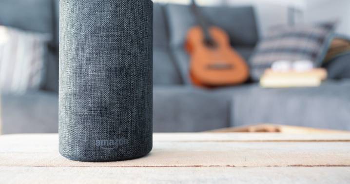 Hey Alexa, what questions did people ask you the most in 2025?