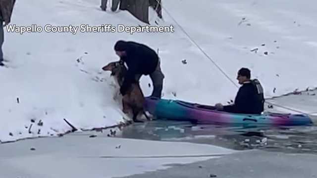 Quick-thinking rescuers save freezing dog from icy Iowa pond