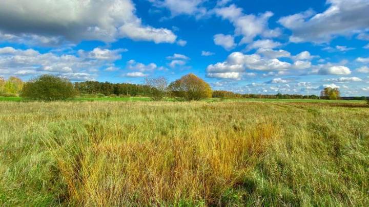 Un día en la Franja de la Muerte: el símbolo de la paranoia comunista que se convirtió en un paraíso salvaje