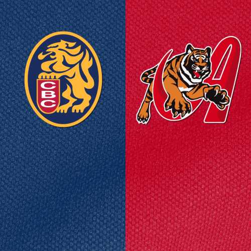 Resumen Tigres vs Leones