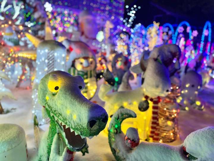 And the award for most Christmas decorations in Ann Arbor goes to ... this house