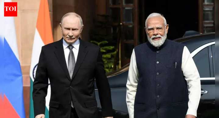 'Agreed on economic cooperation plan till 2030': PM Modi in joint statement with Putin