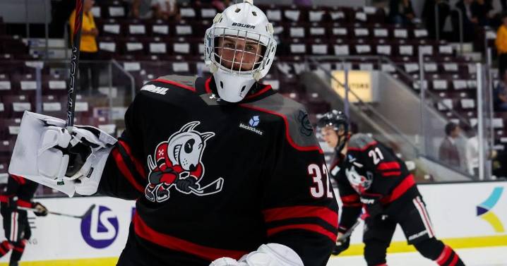 OHL power rankings: IceDogs move up 4 spots in weekly poll