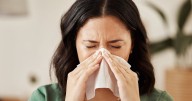 Sore throat and sneezing could be thanks to your Christmas tree and not the flu