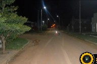 Una motociclista sufrió lesiones graves tras colisionar con un automóvil en San Salvador