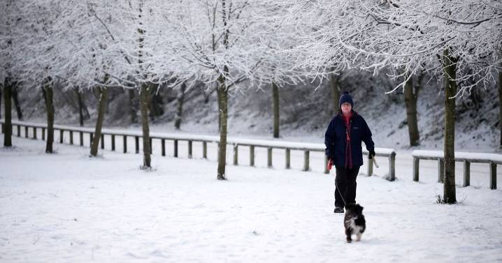 Cold weather maps turn icy blue as -3C freeze to hit Britain - 8 coldest counties 