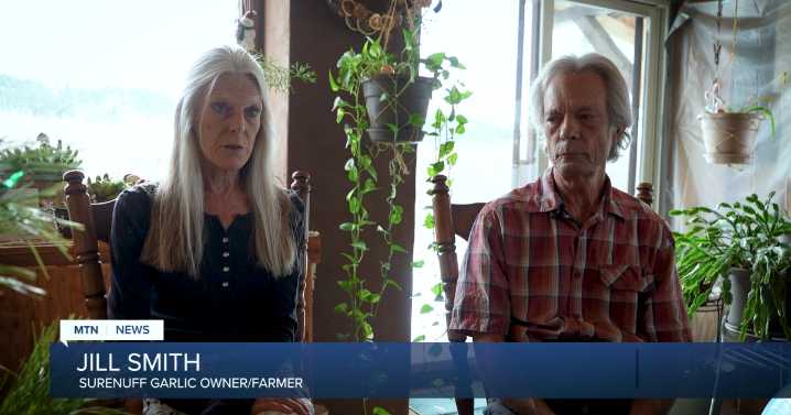 Montana Ag Network: Garlic operation disrupted by aerial spraying