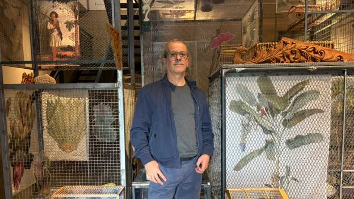 Una historia natural de la infamia: la violenta, precisa y preciosa exposición de Rodrigo Facundo en NC Arte