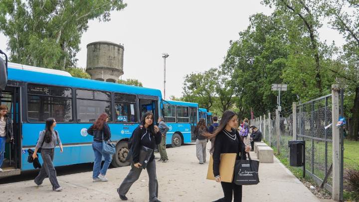 Ocho meses después, la dársena de colectivos en La Siberia muestra resultados positivos