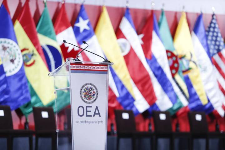 Embajadores respaldan postura peruana ante la OEA sobre asilo
