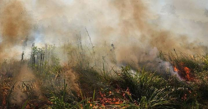 Prescribed burn taking place at Heritage Park Friday, dog parks closed