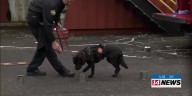Handler introduces K9 Indie at EFD Media Day