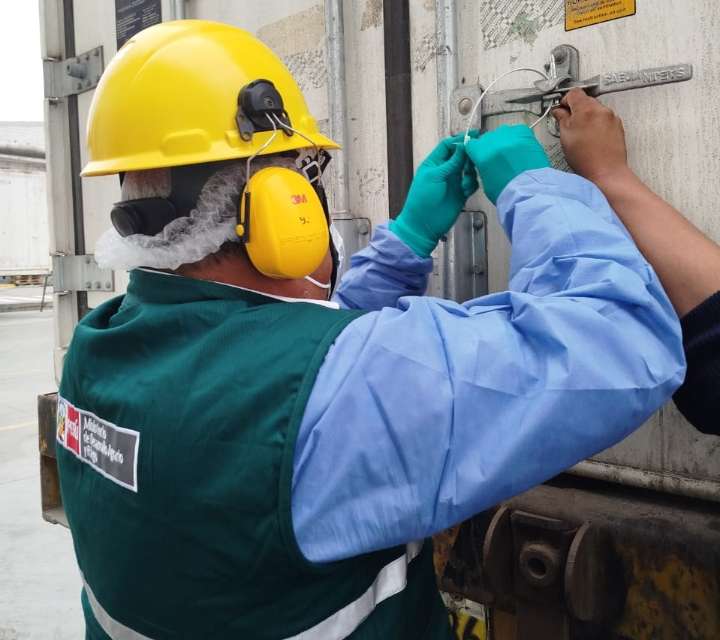 MIDAGRI: Perú concreta su primer envío de pavo a Panamá y consolida la recuperación de sus exportaciones avícolas