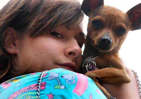 Una perrita se arrojó de un octavo piso, desesperada por las explosiones de pólvora