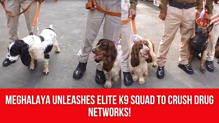 Meghalaya Unleashes Elite K9 Squad to Crush Drug Networks!