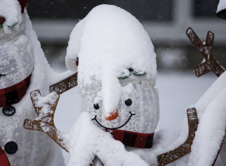 Cold warnings across the northern Prairies forecast wind