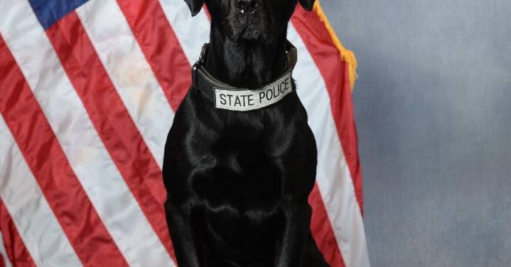 K-9s trained to sniff out fentanyl for Idaho State Police