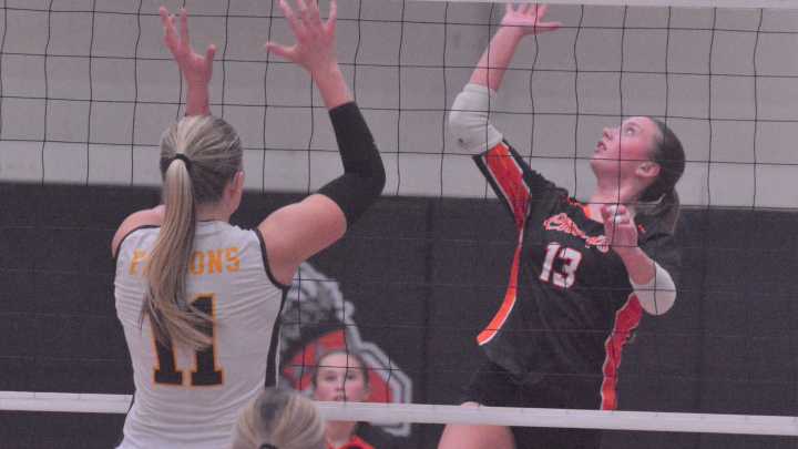 Cheboygan Daily Tribune 2025 all-area volleyball team