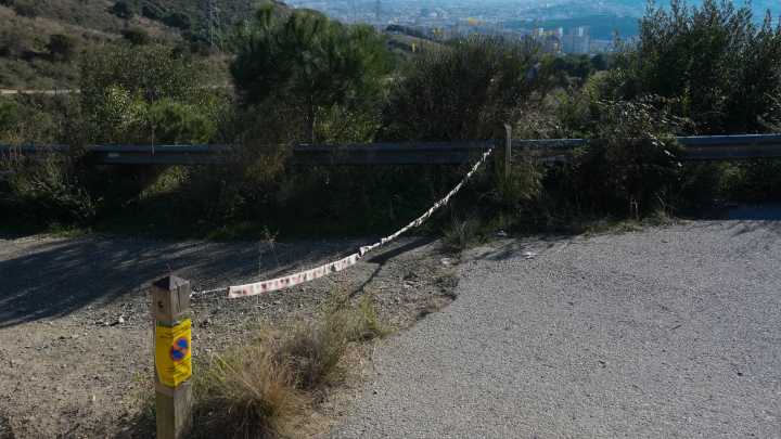 ¿Qué países bloquean ya la entrada de cerdo español por el foco de peste porcina?