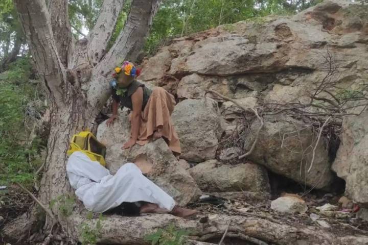 Presentarán en Kinchil una función que homenajea a la apicultura