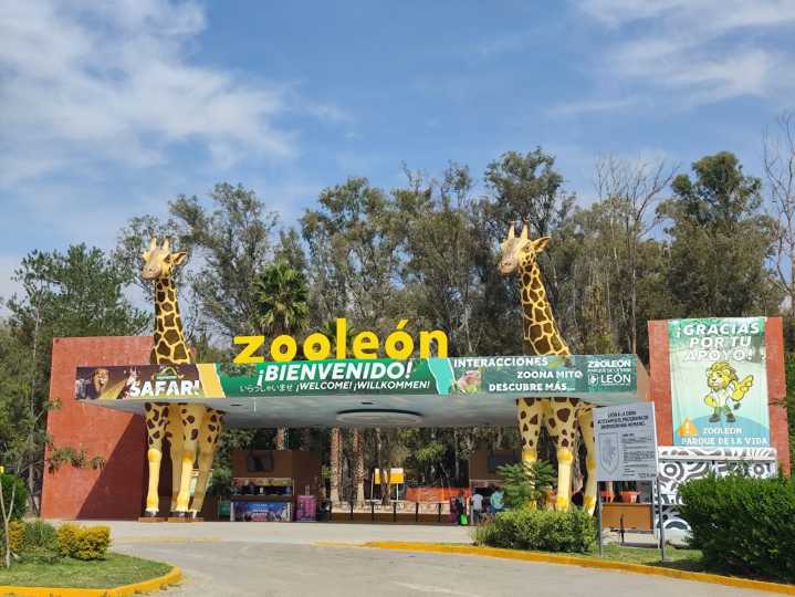 Jauría que mató a borregos habría entrado por zona de La Sardaneta