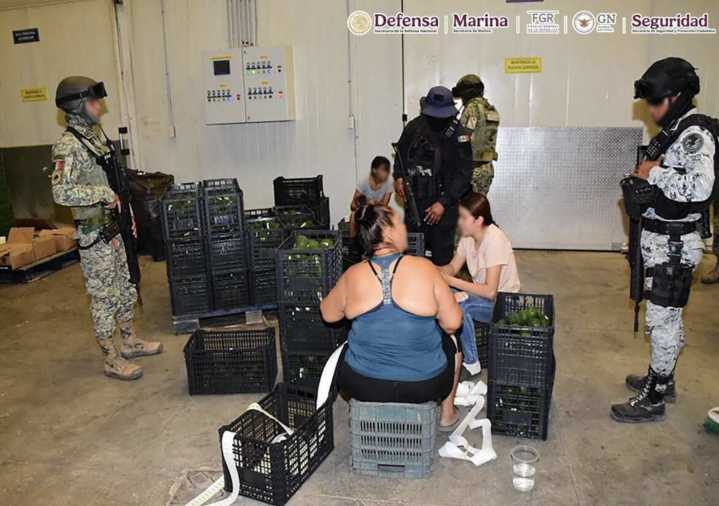 Plan Michoacán: fuerzas federales aseguran vehículos y explosivos; hay 4 detenidos