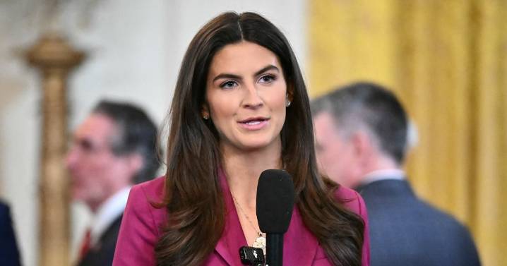 CNN Host Jake Tapper Calls Out Donald Trump for Attack on Kaitlan Collins