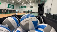 USF volleyball coach has the Bulls back in a familiar place