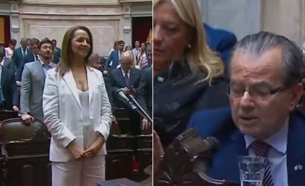 VIDEO. "Ché que linda...": los comentarios de un diputado que quedó con el micrófono abierto