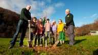 Sycamore Gap sapling planted at Biblins