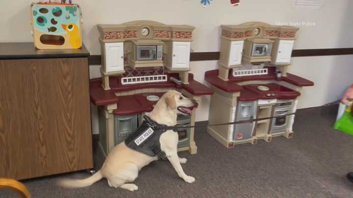 Idaho State Police K9s can now sniff out fentanyl