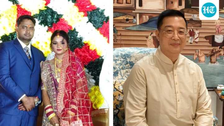 Singapore envoy attends staffer's wedding online amid IndiGo cancellation chaos