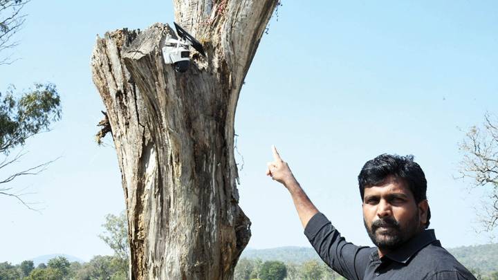 Preventing human-wildlife conflict: Bandipur adopts tech eye to track wildlife
